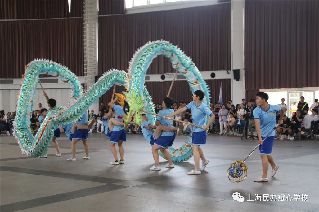端午传捷报,双双夺龙王(上海斌心学校)